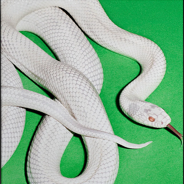 Private Music – Deftones